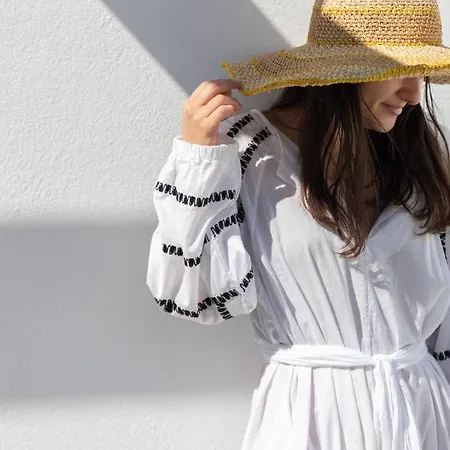 호텔 엘레나 Mykonos Town