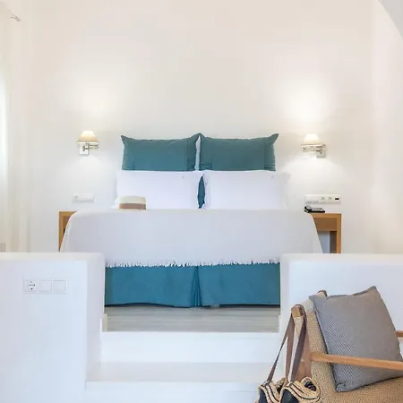 호텔 엘레나 Mykonos Town