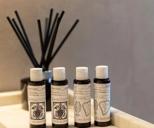 فندق قندق إيلينا ميكونوس 3*