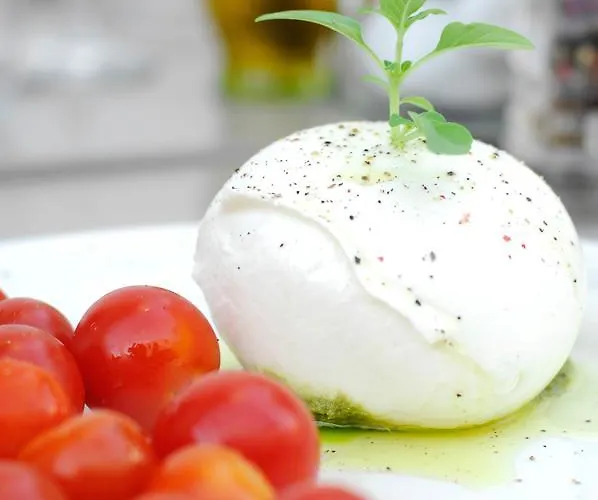 قندق إيلينا ميكونوس فندق 3*