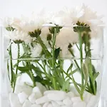 Hotel Elena Mykonos Mykonos Town