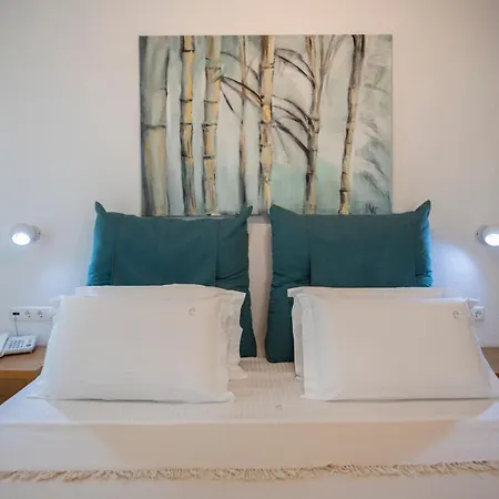 Elena Mykonos Отель 3*