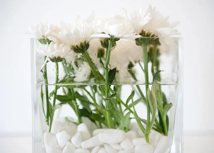 מלון Elena Mykonos Mykonos Town