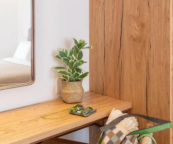 酒店 米科诺斯埃琳娜酒店 Mykonos Town