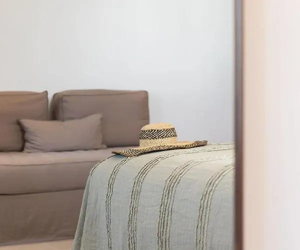 酒店 米科诺斯埃琳娜酒店 Mykonos Town