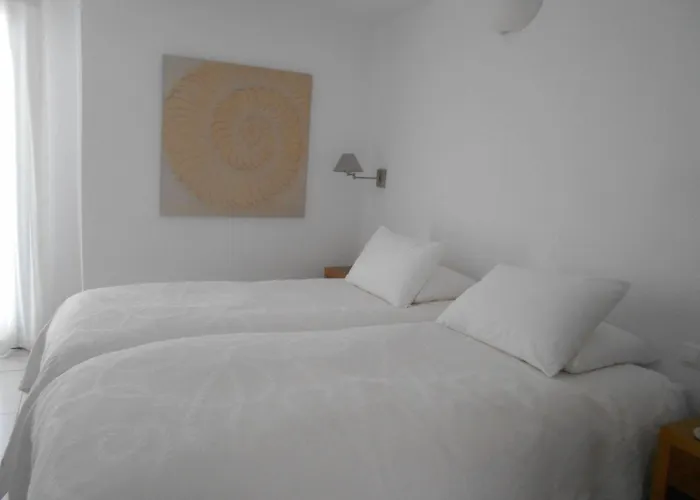 米科诺斯埃琳娜酒店 3* Mykonos Town