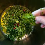 Elena Mykonos Otel Mykonos Town