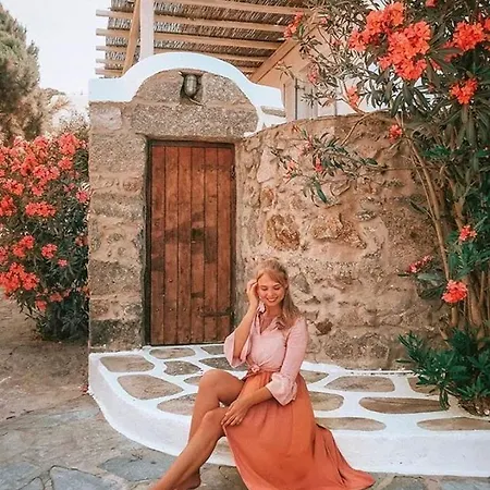 Elena Mykonos Hotell