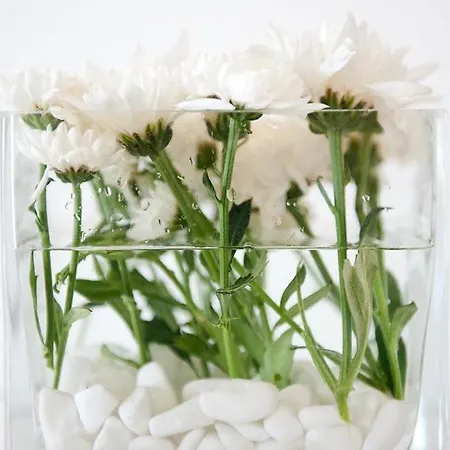 Hotell Elena Mykonos Mykonos Town