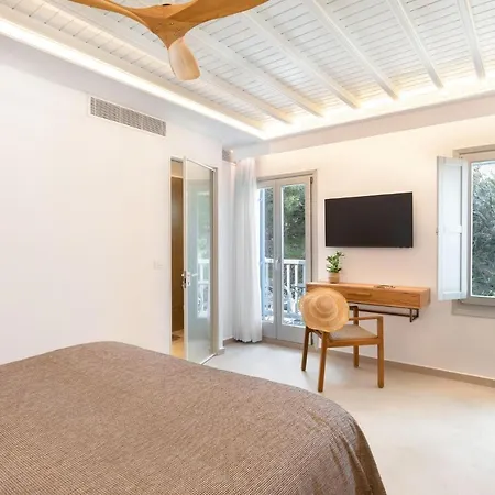 米科诺斯埃琳娜酒店 Mykonos Town