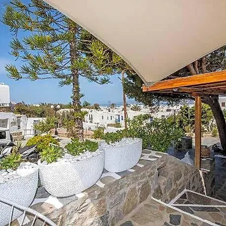 Elena Mykonos 호텔 3*