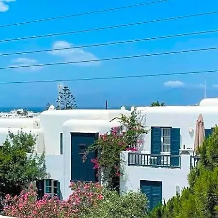 Elena Mykonos 호텔 3*