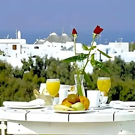 Elena Mykonos 호텔 3*