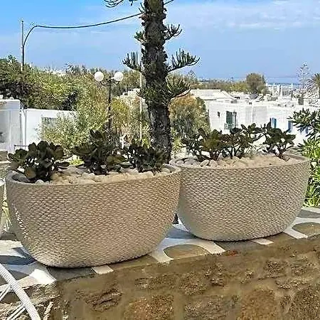 호텔 Elena Mykonos