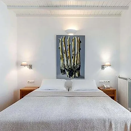 Elena Mykonos 3*