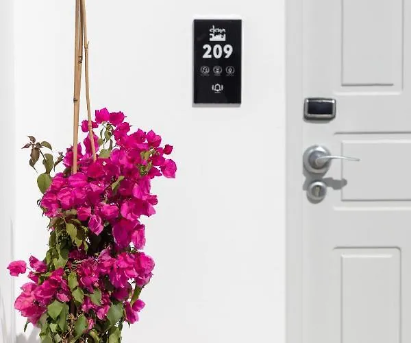 米科诺斯埃琳娜酒店 3* Mykonos Town