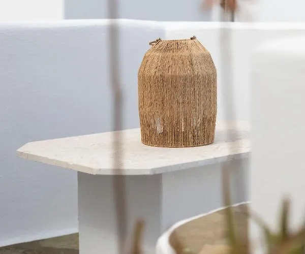 米科诺斯埃琳娜酒店