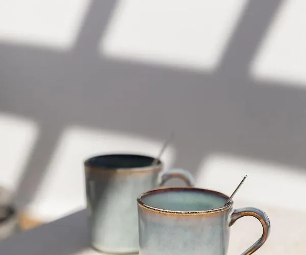 米科诺斯埃琳娜酒店 酒店 Mykonos Town