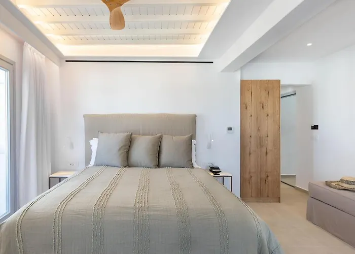 酒店 米科诺斯埃琳娜酒店 Mykonos Town